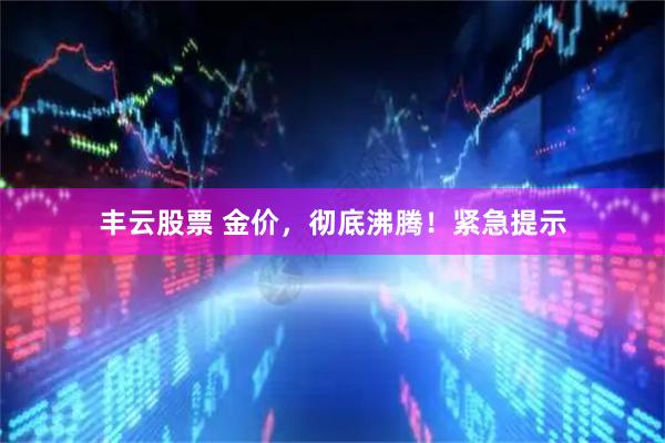 丰云股票 金价，彻底沸腾！紧急提示