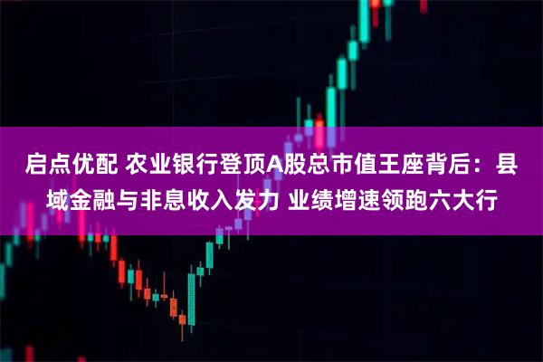 启点优配 农业银行登顶A股总市值王座背后：县域金融与非息收入发力 业绩增速领跑六大行