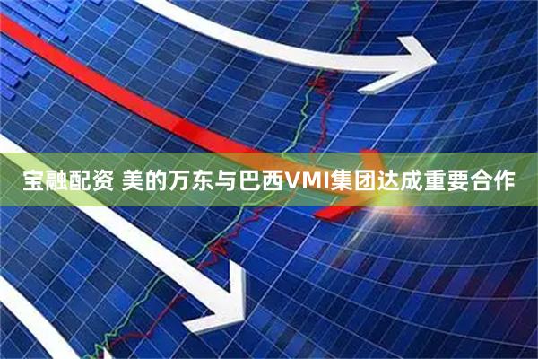 宝融配资 美的万东与巴西VMI集团达成重要合作