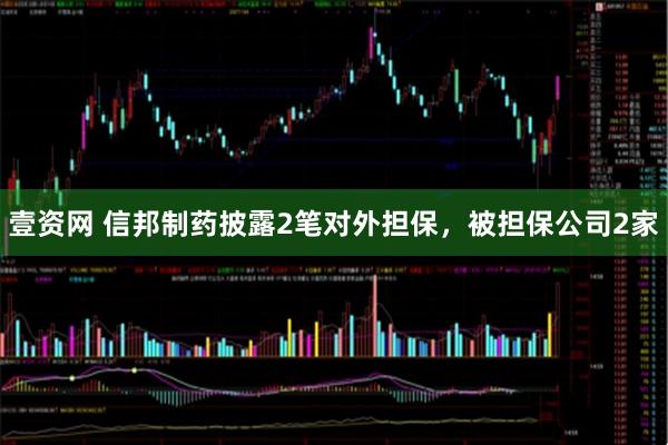 壹资网 信邦制药披露2笔对外担保，被担保公司2家