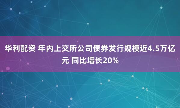 华利配资 年内上交所公司债券发行规模近4.5万亿元 同比增长20%